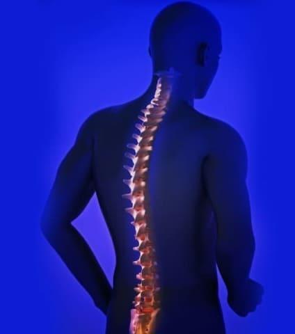 una silueta de una persona de espalda con vista de rayos x mostrando su columna vertebral